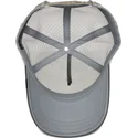 epci-curbata-gri-snapback-eye-of-the-tiger-the-farm-de-goorin-bros