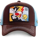 epci-curbata-maro-snapback-vs-tvg1-silvestre-i-tweety-looney-tunes-de-capslab