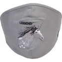 mati-i-protecie-gri-mascarilla-reutilizable-living-legend-the-farm-de-goorin-bros