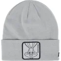 caciuli-gri-bon-bug1-bugs-bunny-looney-tunes-de-capslab