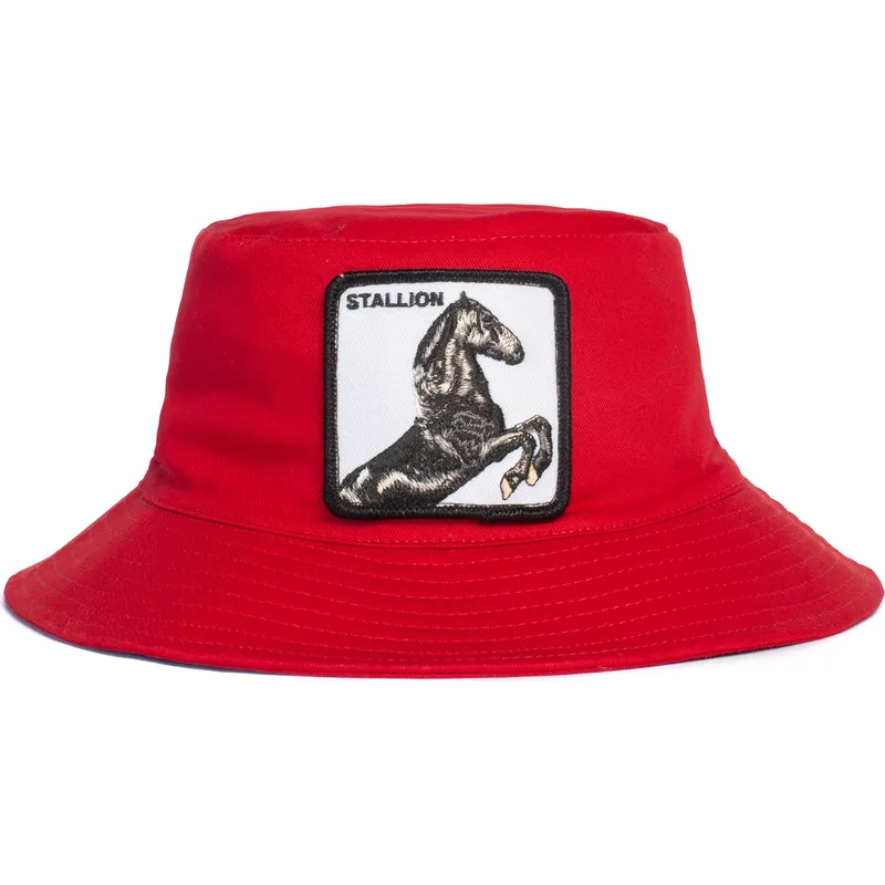 galei-rou-stallion-im-a-little-hoarse-the-farm-de-goorin-bros