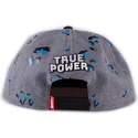 epci-plata-gri-snapback-true-power-de-difuzed
