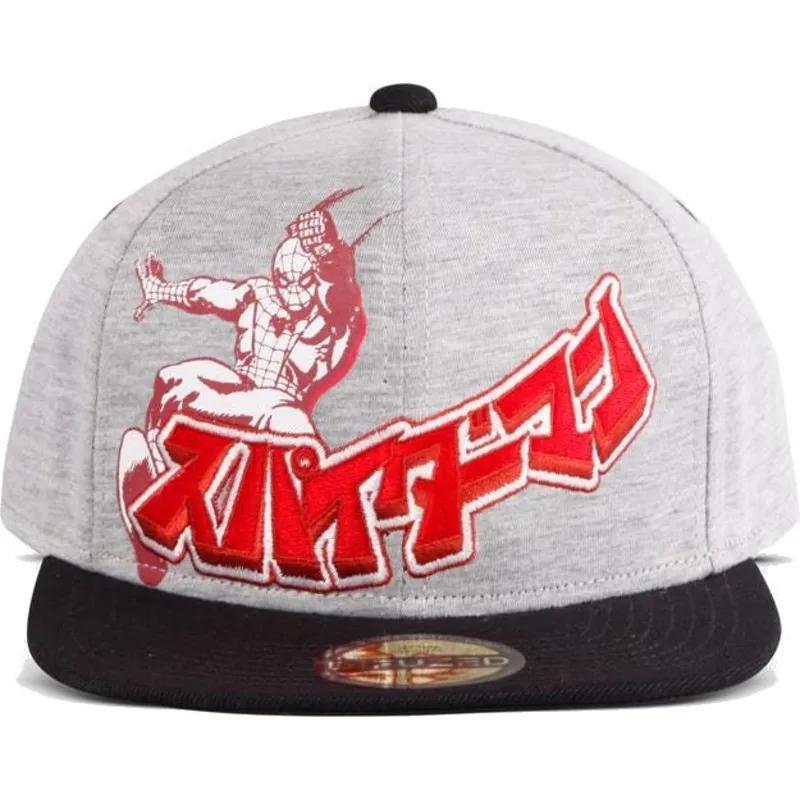 epci-plata-gri-snapback-japanese-de-difuzed