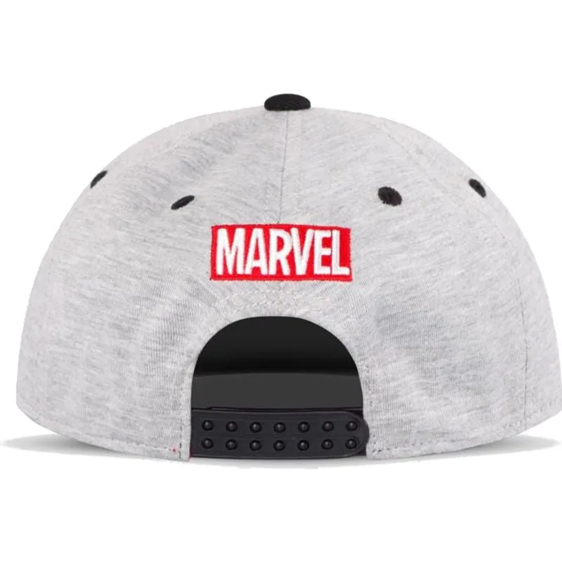 epci-plata-gri-snapback-japanese-de-difuzed