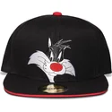 epci-plata-negru-snapback-space-jam-de-difuzed