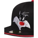 epci-plata-negru-snapback-space-jam-de-difuzed