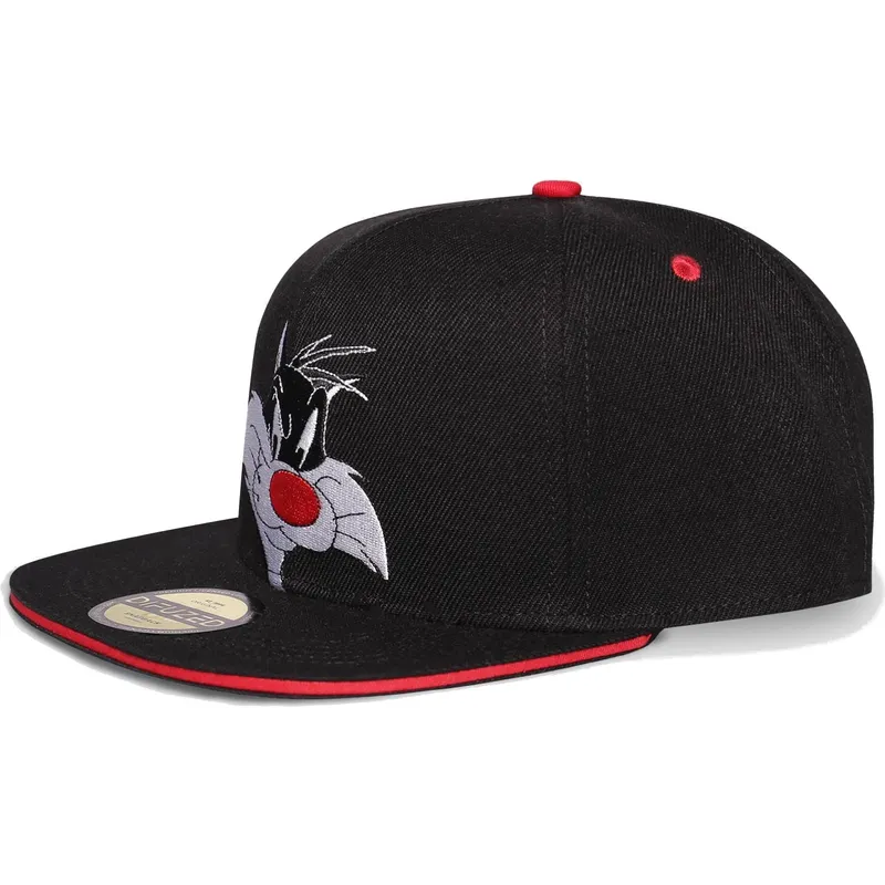 epci-plata-negru-snapback-space-jam-de-difuzed epci-plata-negru-snapback-space-jam-de-difuzed