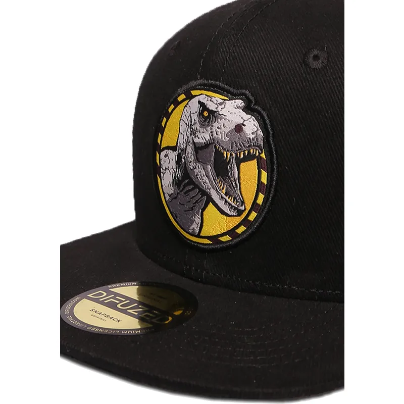epci-plata-negru-snapback-de-difuzed
