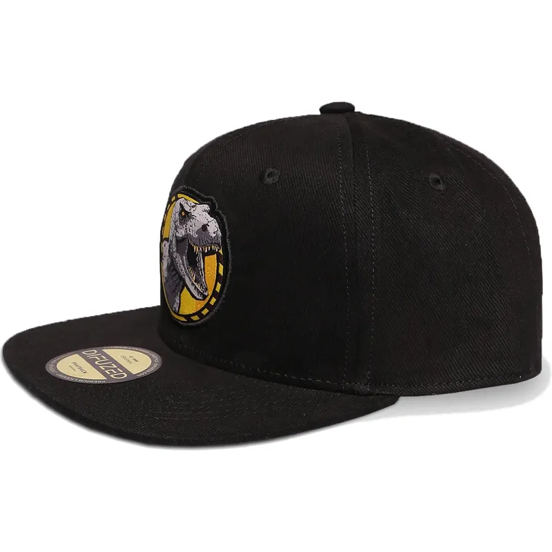 epci-plata-negru-snapback-de-difuzed