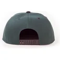 epci-plata-verzior-snapback-hyrule-de-difuzed