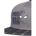 epci-plata-negru-snapback-trucker-de-difuzed