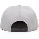 epci-plata-gri-snapback-sony-de-difuzed