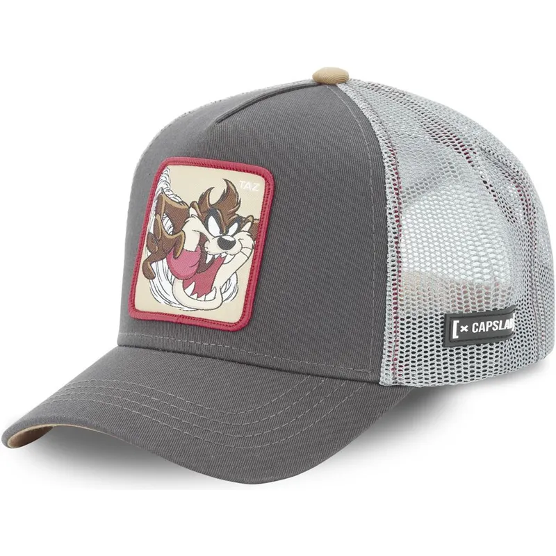 epci-curbata-gri-snapback-diavolul-tasmanian-looney-tunes-de-capslab