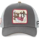 epci-curbata-gri-snapback-diavolul-tasmanian-looney-tunes-de-capslab