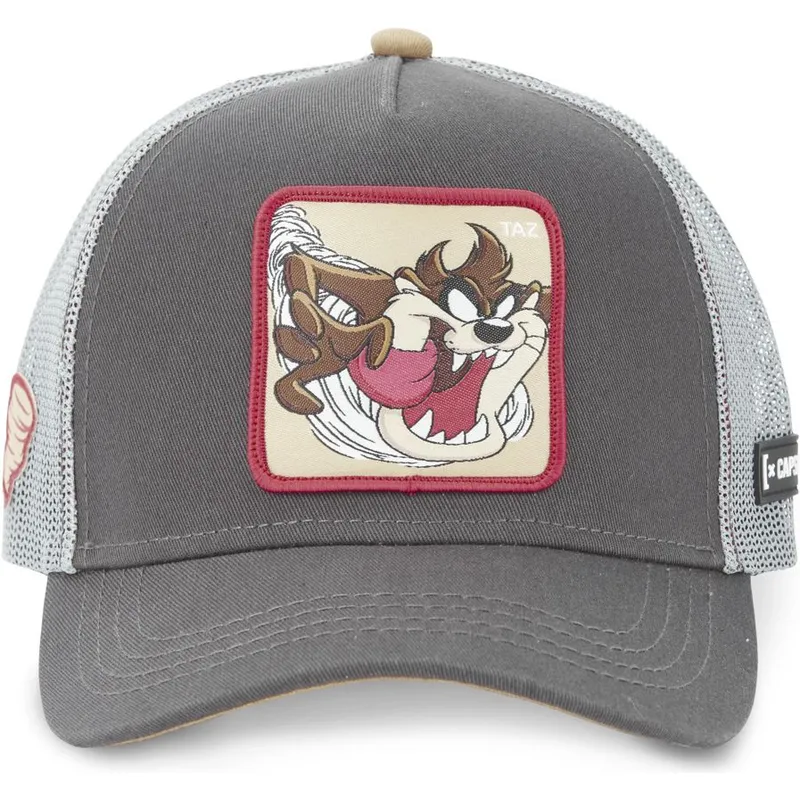 epci-curbata-gri-snapback-diavolul-tasmanian-looney-tunes-de-capslab