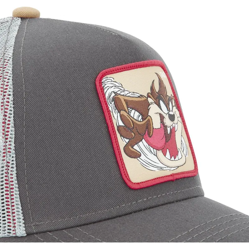 epci-curbata-gri-snapback-diavolul-tasmanian-looney-tunes-de-capslab