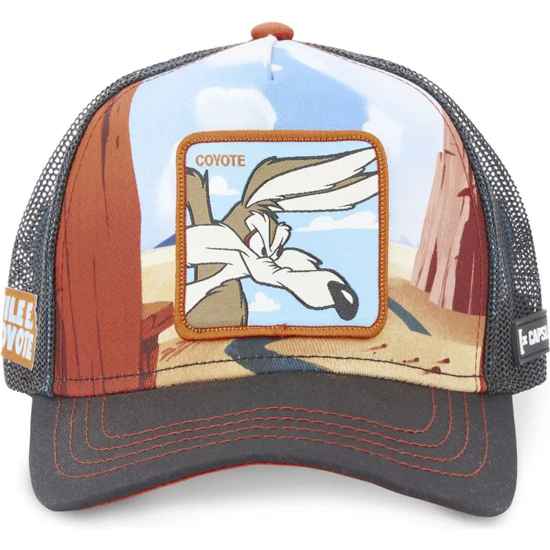 epci-curbata-papagal-snapback-loo5-coy2-coiot-looney-tunes-de-capslab