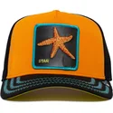 cap-curbata-orange-snapback-estrella-de-mar-baby-i-m-a-star-the-farm-the-farm-de-goorin-bros