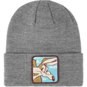 cappello-grigio-coyote-bon-coy2-looney-tunes-di-capslab