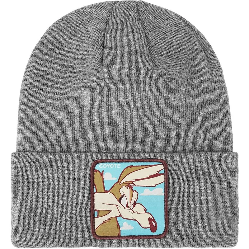 cap-gray-coyote-looney-tunes-de-capslab