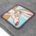 berretto-grigio-coyote-bon-coy2-looney-tunes-di-capslab