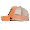 epci-curbata-roz-snapback-the-panther-the-farm-de-goorin-bros