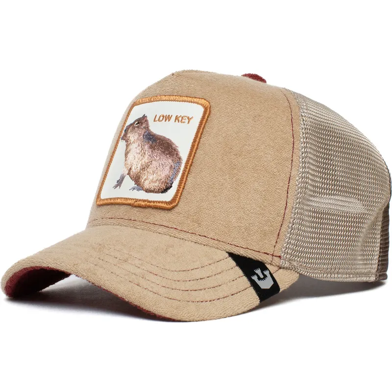 epci-curbata-maro-snapback-low-key-best-mate-the-farm-de-goorin-bros