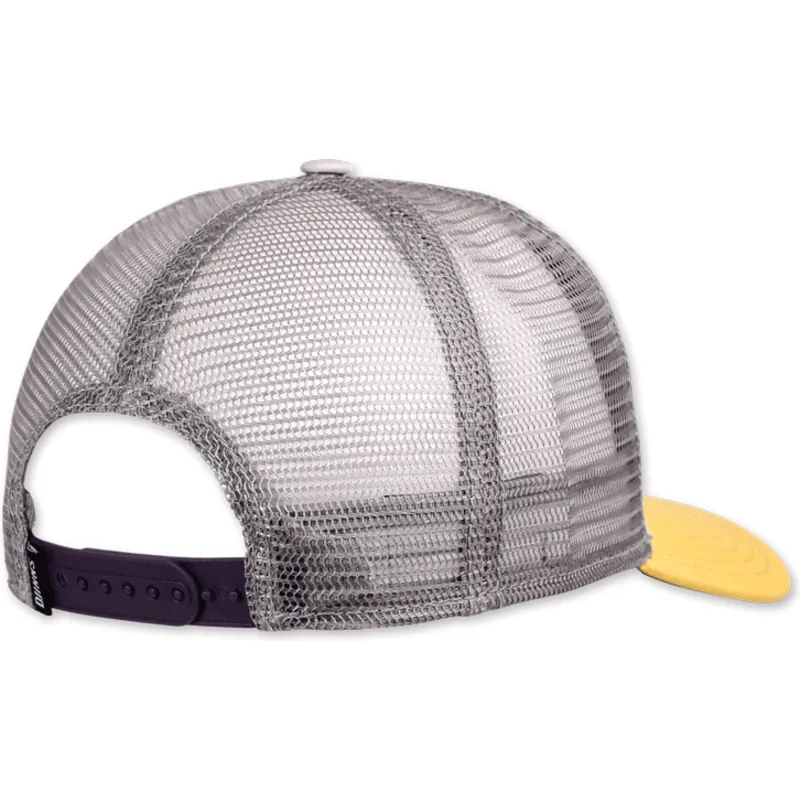 cap-curbata-gray-snapback-de-djinns