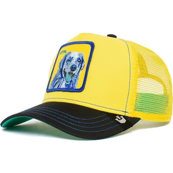 cap-curbata-yellow-snapback-the-farm-de-goorin-bros