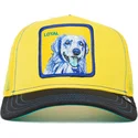 cap-curbata-yellow-snapback-the-farm-de-goorin-bros