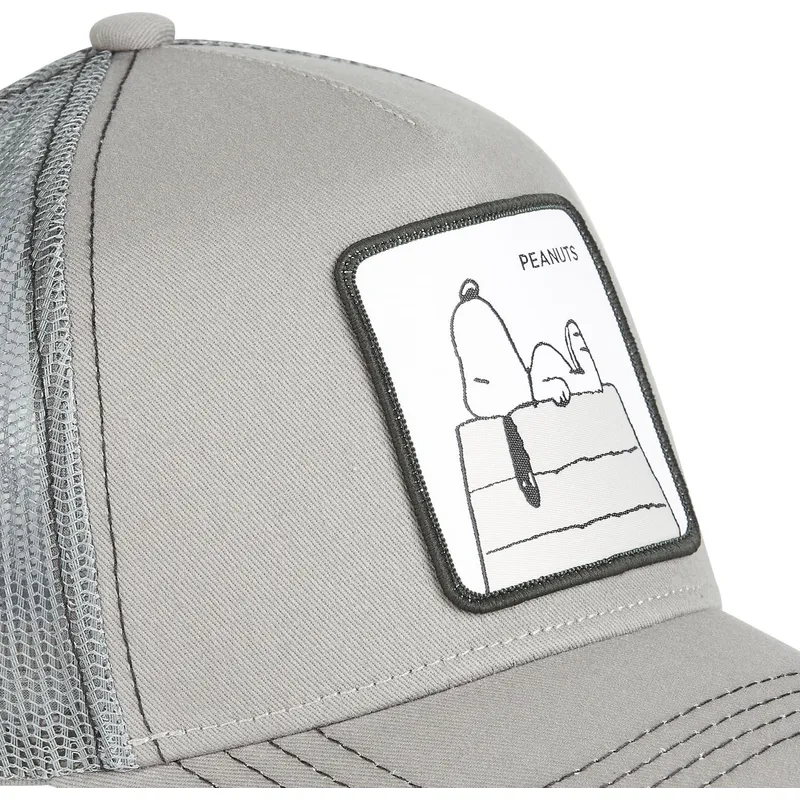 epci-curbata-gri-snapback-sn2-snoopy-arahide-de-capslab epci-curbata-gri-snapback-sn2-snoopy-arahide-de-capslab
