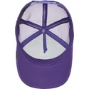 epci-curbata-violet-snapback-pentru-copii-lone-wolf-lil-the-farm-de-goorin-bros
