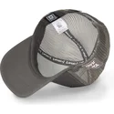 epci-curbata-gri-snapback-tom-looney-tunes-de-capslab