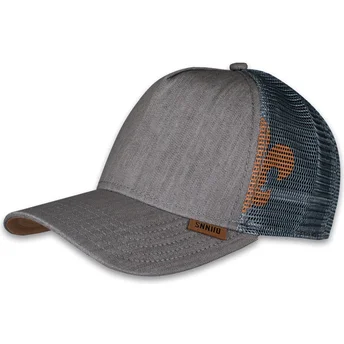 Șepci curbată gri snapback HFT Linen 2014 de Djinns