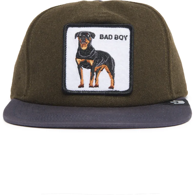 grune-und-blaue-snapback-flatcap-rottweiler-hund-bad-boy-top-dog-the-farm-flats-von-goorin-bros