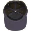 epci-plata-verzior-snapback-bad-boy-top-dog-the-farm-flats-the-farm-de-goorin-bros