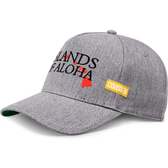 Cappello curvo grigio regolabile Islands Of Aloha di Coastal