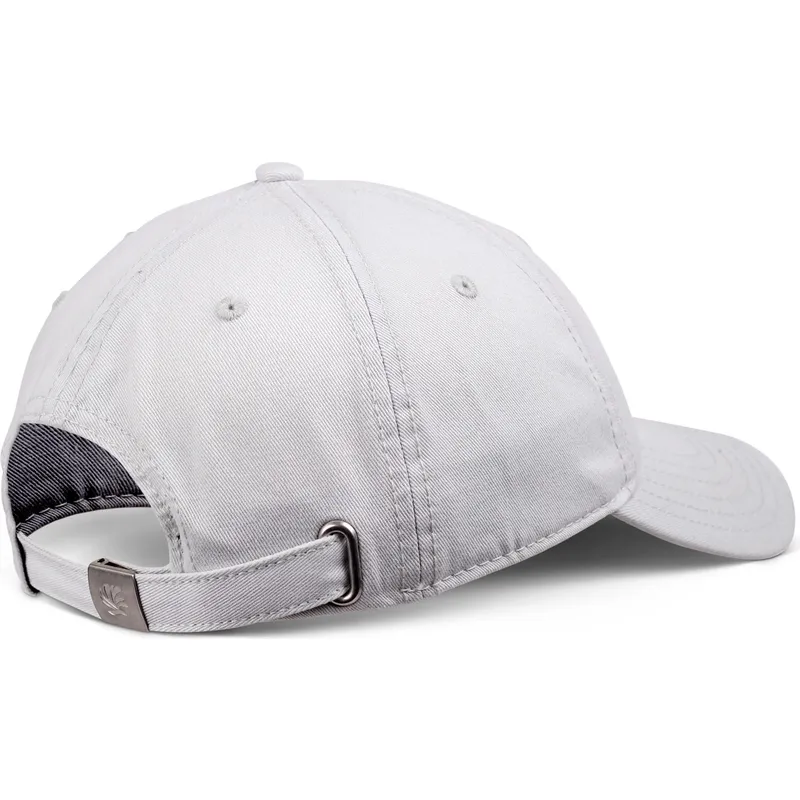 verstellbare-graue-curved-cap-surfsup-von-coastal