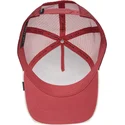 epci-curbata-rou-snapback-the-panther-big-cats-the-farm-de-goorin-bros