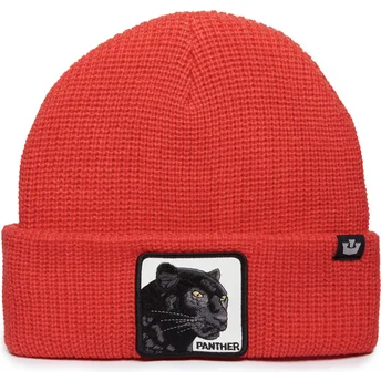 Panther