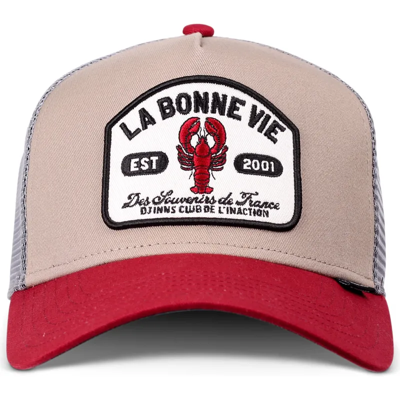 epci-curbata-papagal-snapback-la-bonne-vie-hft-de-djinns