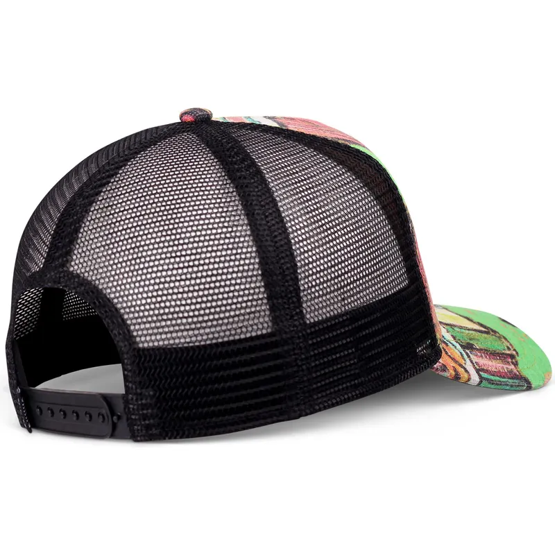 epci-curbata-papagal-snapback-hft-painting-de-djinns