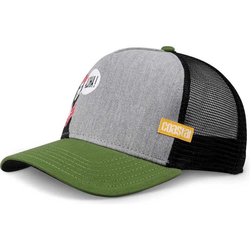 cap-curbata-gray-snapback-de-coastal