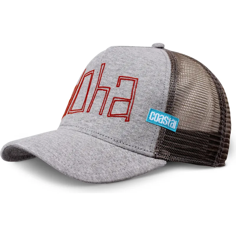 cap-curbata-gray-snapback-de-coastal