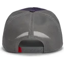 epci-curbata-violet-snapback-goorin-bros-beat-dead-horse-horse-play-the-farm-purple-hat-the-farm-de-goorin-bros