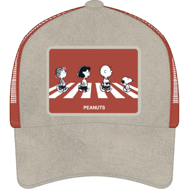epci-curbata-gri-snapback-pea5-pea-arahide-de-capslab