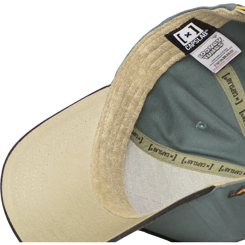 gorra-curve-grun-und-schwarz-snapback-daffy-duck-loo12-daf2-looney-tunes-von-capslab
