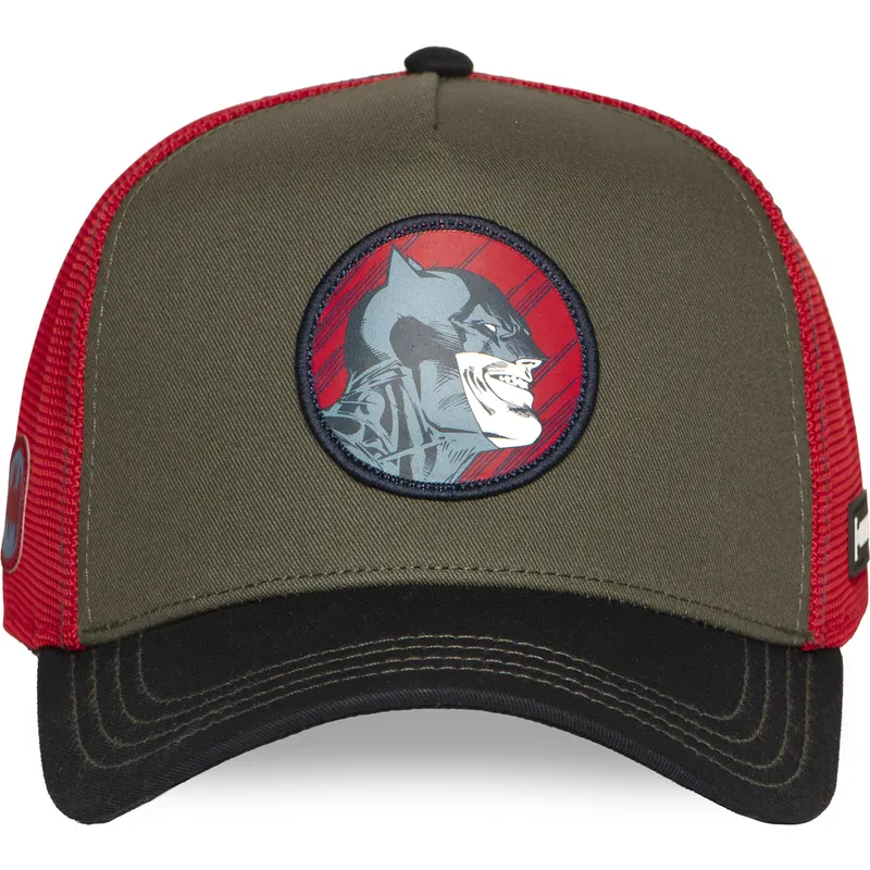 epci-curbata-papagal-snapback-dc10-bat-ct-batman-dc-comics-de-capslab epci-curbata-papagal-snapback-dc10-bat-ct-batman-dc-comics-de-capslab