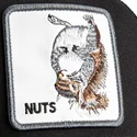 epci-curbata-camionagiu-negru-snapback-nuts-lerriuqs-flip-side-2-the-farm-de-goorin-bros