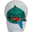 epci-curbata-verzior-snapback-guapo-honduras-macaw-the-farm-de-goorin-bros